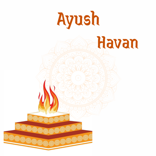 Aayush Havan